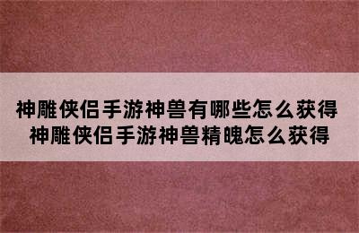 神雕侠侣手游神兽有哪些怎么获得 神雕侠侣手游神兽精魄怎么获得